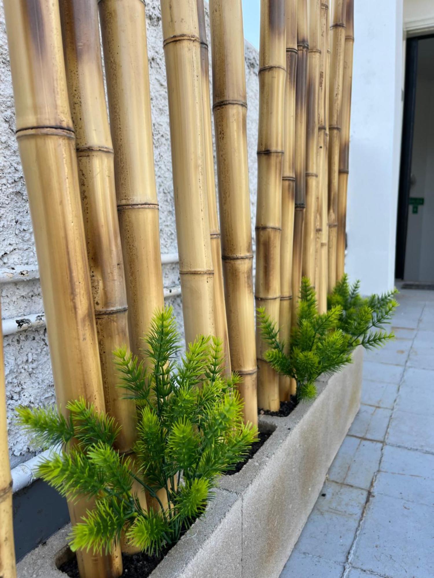 Terrazas De Rondeau Appartement Mendoza Buitenkant foto